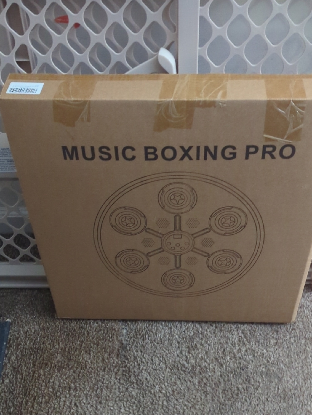 Music Boxing Pro Speaker System in Brown Cardboard Packaging